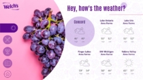 Welch&#039;s digital weather board was created using basic widgets in AxisTV Signage Suite