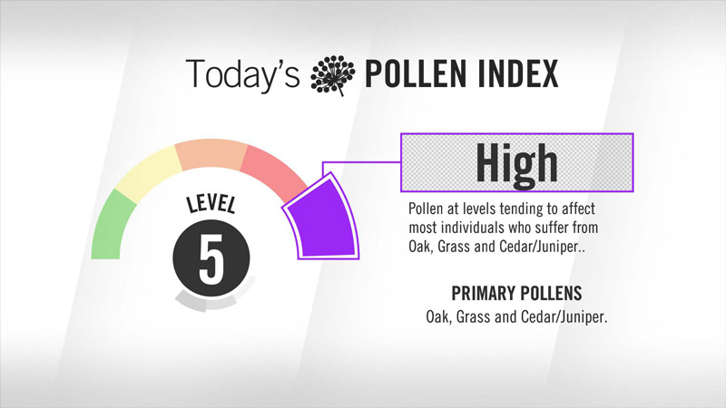 Visix Digital Signage Content Subscriptions | Local Health Conditions Feed | Today's Pollen Index