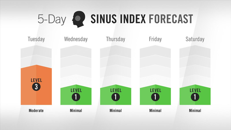 Visix Digital Signage Content Subscriptions | Local Health Conditions Feed | 5-Day Sinus Index Forecast