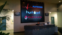 Katecho Surmasis Lobby Video Wall