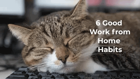 Working from home can be great, if you follow a few simple rules. Watch our video for good work from home (WFH) habits to start today.