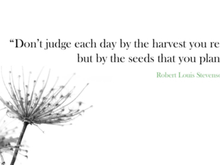 Visix-Inspirations-Quotes-Harvest-Seeds-Stevenson Free Graphic | Inspirational Quotes | Quote by Robert Louis Stevenson