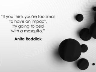 Visix-Together-Impact-Mosquito-Roddick Free Graphic | Together We Can | Quote by Anita Roddick
