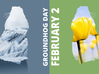 Visix-Holidays-Groundhog-Day Free Graphic | Holidays | Groundhog Day