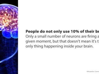 Visix-Mythbusters-Brain-Power Free Graphic | Mythbusters | People use more than 10% of their brains