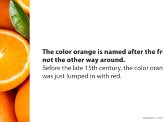 Visix-Mythbusters-Color-Orange Free Graphic | Mythbusters | Oranges aren't named after the color