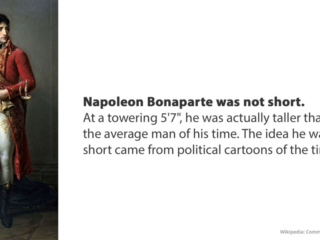 Visix-Mythbusters-Nepoleon-Short Free Graphic | Mythbusters | Napoleon was not short