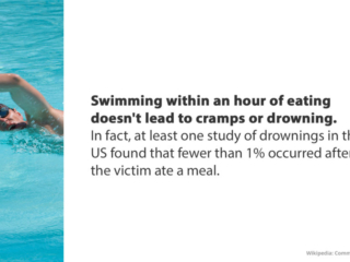 Visix-Mythbusters-Swimming-Eating Free Graphic | Mythbusters | Swimming after eating doesn't cause cramps