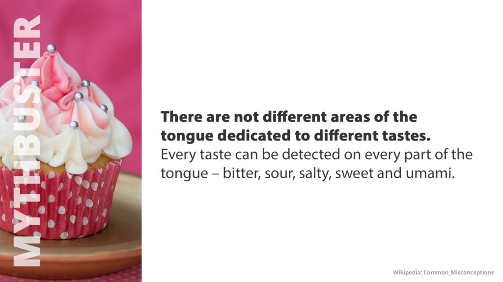 Free Graphic | Mythbusters | There are not different areas of the tongue for different tastes
