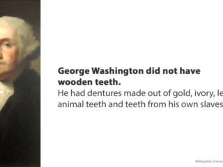 Visix-Mythbusters-Wooden-Teeth Free Graphic | Mythbusters | George Washington didn't have wooden teeth