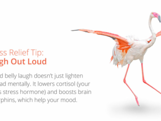 Visix-Stress-Relief-Tips7-Laugh Free Graphic | Stress Relief Tips | Laugh out loud