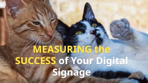 If you aren't tracking ROI, you have no way to know if your digital signs are working. Get some quick tips in our video.