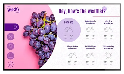 Sample layout showing the weather in a digital signage layout