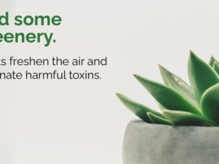 Visix-Workplace-Wellness-Add-Greenery Free Graphic | Workplace Wellness | Add Greenery