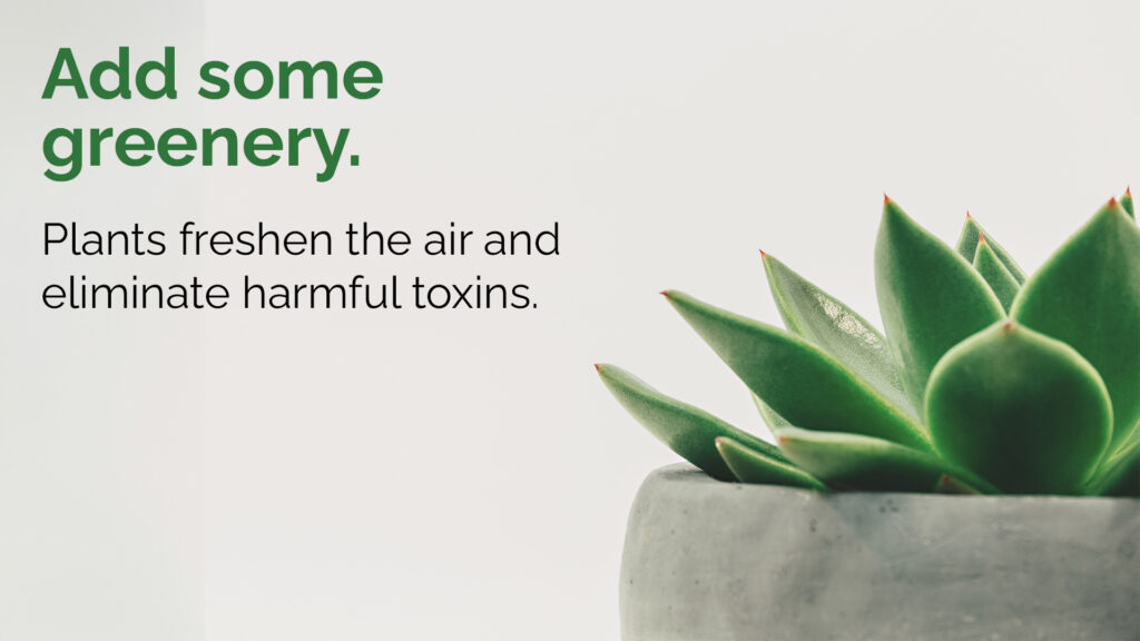 Free Graphic | Workplace Wellness | Add Greenery